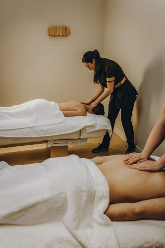 Parkest Hôtel Spa Genas Lyon